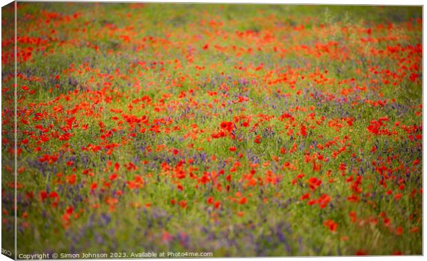 Poppy Impressionism Canvas Print by Simon Johnson