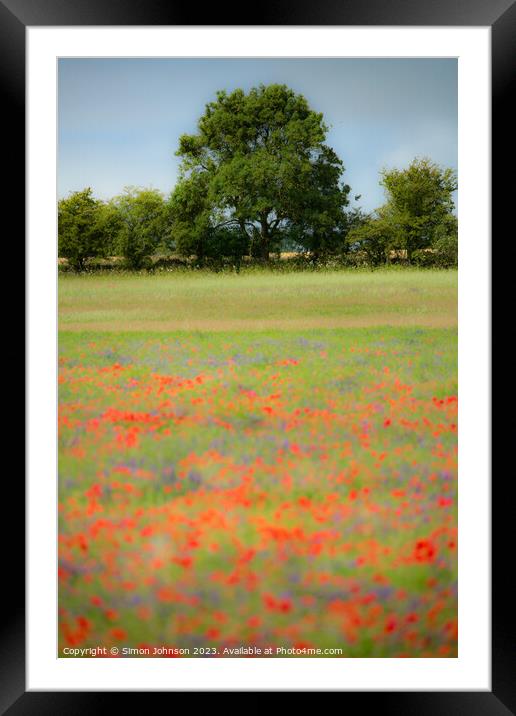 Cotswold poppies Framed Mounted Print by Simon Johnson