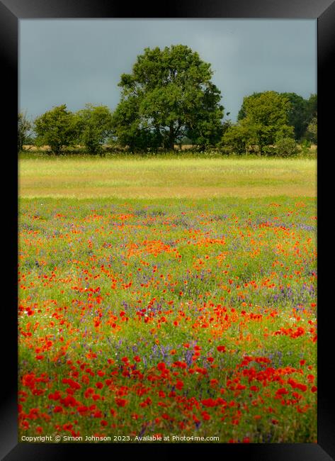 Impressionist Poppies Framed Print by Simon Johnson