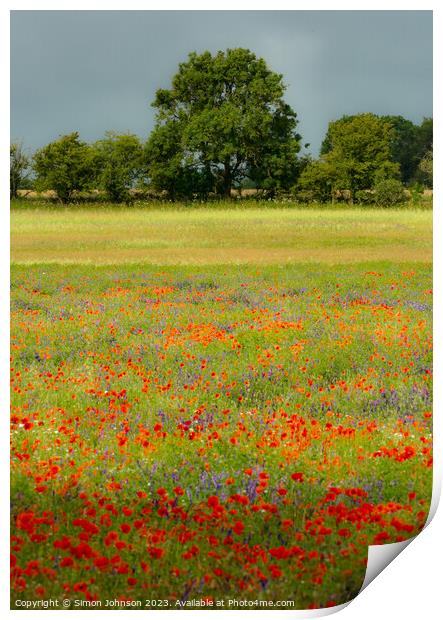 Impressionist Poppies Print by Simon Johnson