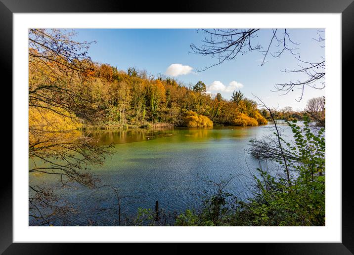 Swanbourne Lake in Autumn Framed Mounted Print by Malcolm McHugh