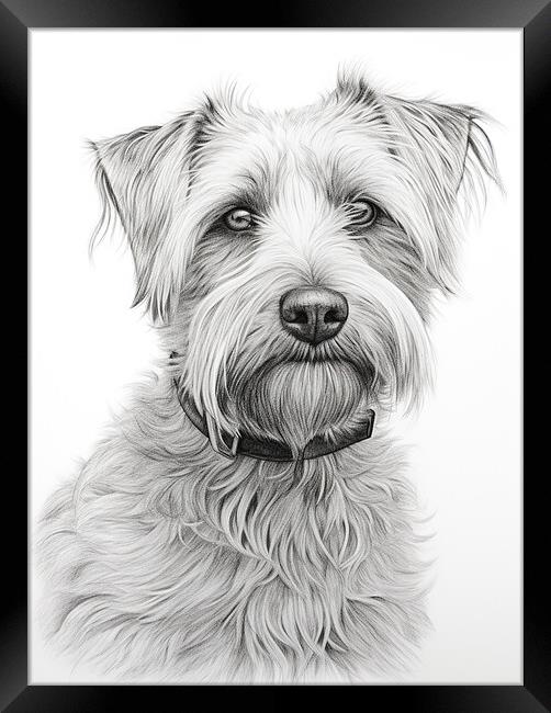 Glen Of Imaal Terrier Pencil Drawing Framed Print by K9 Art
