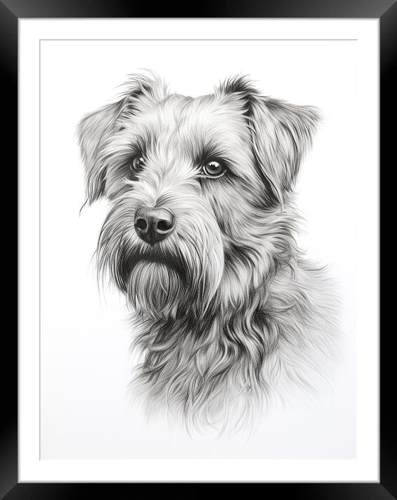 Glen Of Imaal Terrier Pencil Drawing Framed Mounted Print by K9 Art