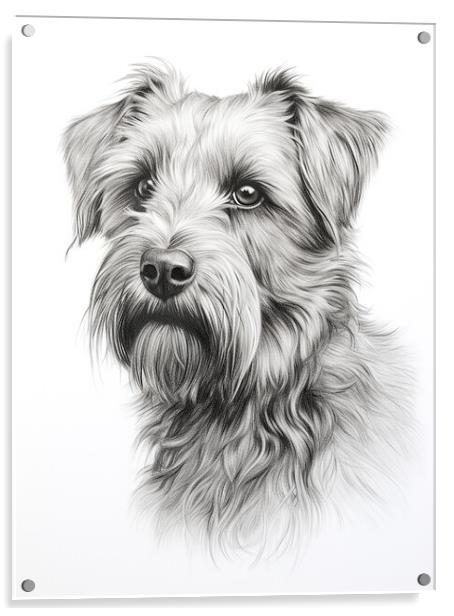 Glen Of Imaal Terrier Pencil Drawing Acrylic by K9 Art