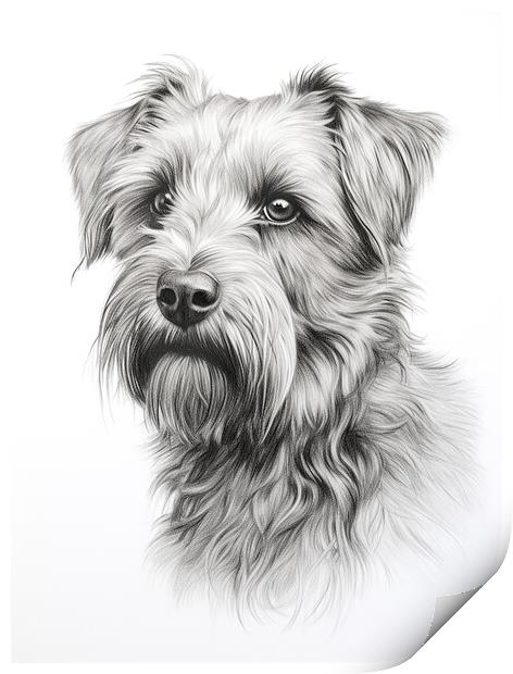 Glen Of Imaal Terrier Pencil Drawing Print by K9 Art