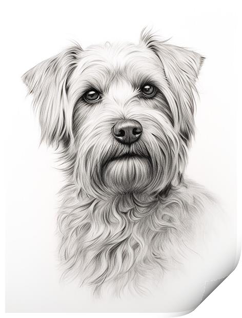 Glen Of Imaal Terrier Pencil Drawing Print by K9 Art