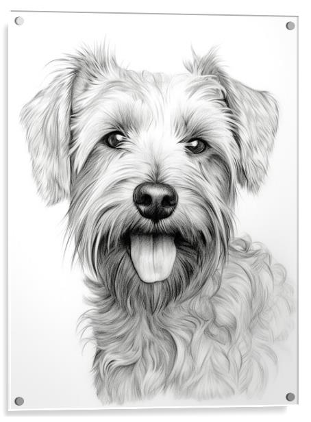Glen Of Imaal Terrier Pencil Drawing Acrylic by K9 Art