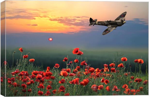 Spitfire Poppy Flight Canvas Print by Alison Chambers