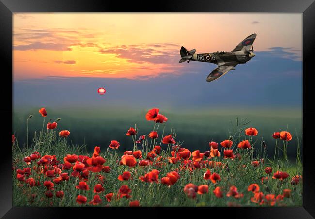 Spitfire Poppy Flight Framed Print by Alison Chambers