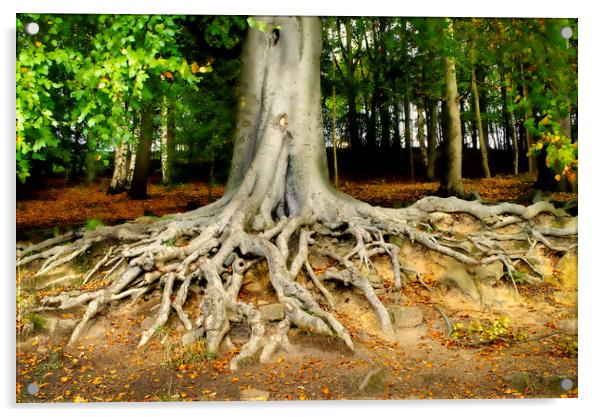 Newmillerdam Tree Roots Acrylic by Alison Chambers
