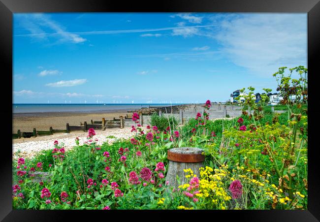 Whitstable Coastal Flowers Framed Print by Alison Chambers