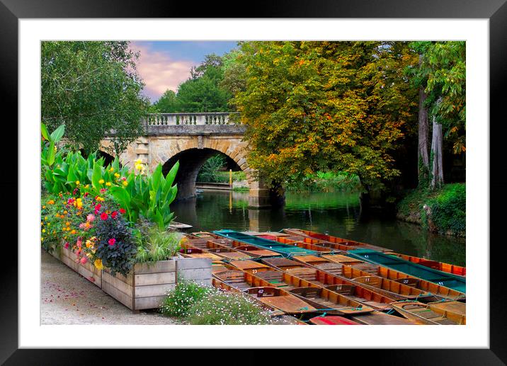 Magdalen Bridge Oxford Framed Mounted Print by Alison Chambers