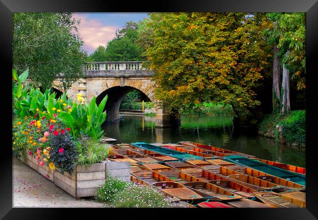 Magdalen Bridge Oxford Framed Print by Alison Chambers