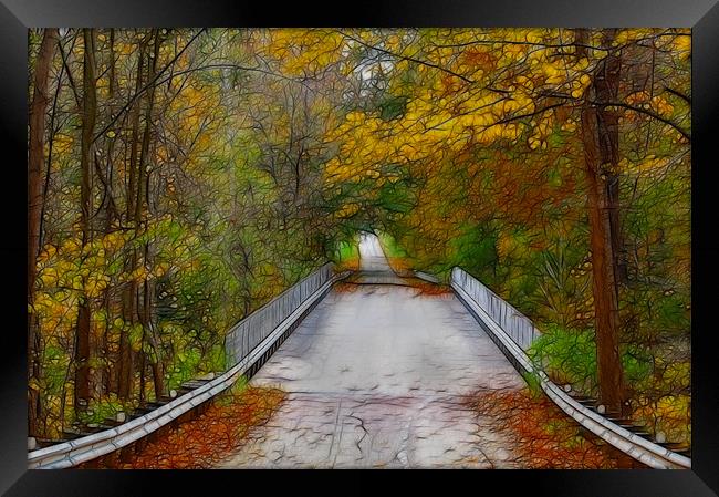 Country Bridge in Autumn Framed Print by Kathleen Stephens