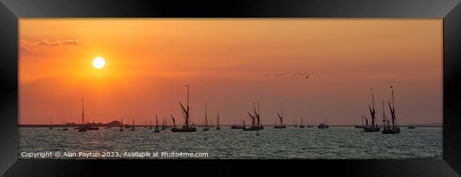 Swale estuary barges and Yawls at sunset Framed Print by Alan Payton