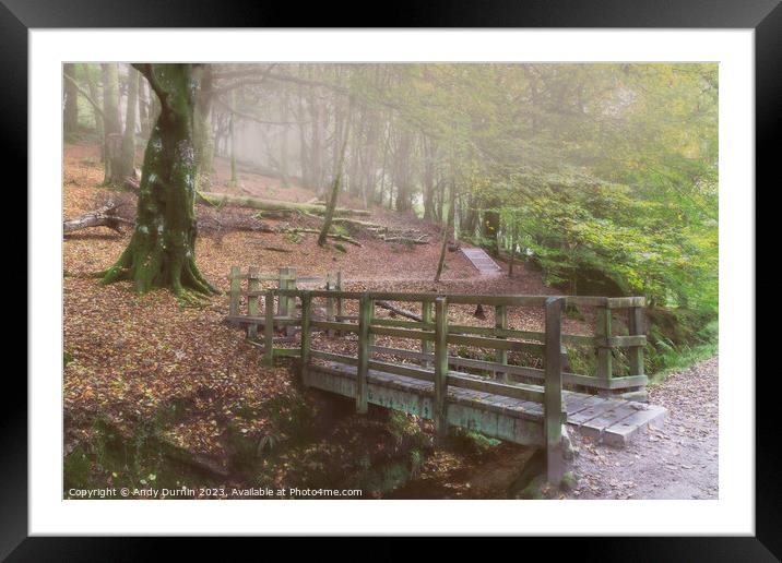 Luxulyan Valley The Wooden Bridge Framed Mounted Print by Andy Durnin