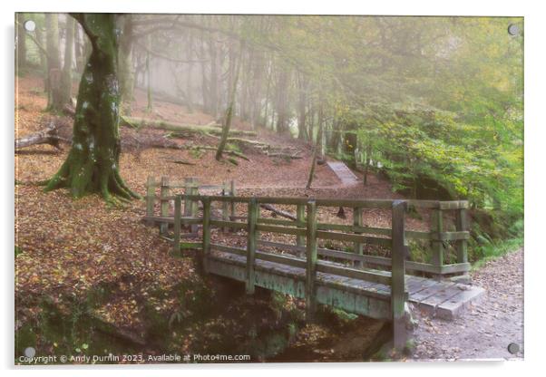 Luxulyan Valley The Wooden Bridge Acrylic by Andy Durnin