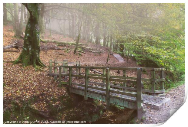 Luxulyan Valley The Wooden Bridge Print by Andy Durnin