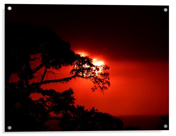 Masai Mara Sunset kenya Acrylic by grant norton