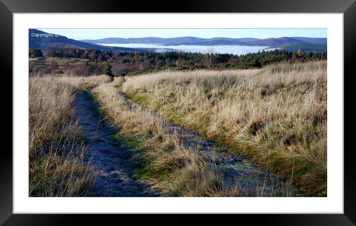 Ground Frost and mist in the Glens Framed Mounted Print by Phil Banks