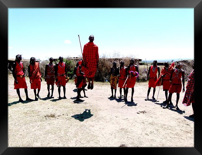 Masai Mara tribal love dance Framed Print by grant norton