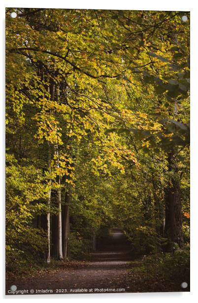 Raspaillebos in Glorius Autumn Color, Belgium Acrylic by Imladris 