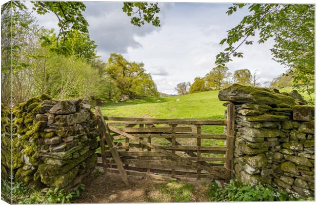Traditional wooden gate between stone walls in the Lake District Canvas Print by Jason Wells