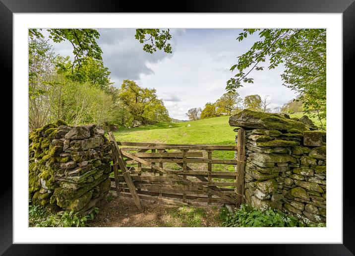 Traditional wooden gate between stone walls in the Lake District Framed Mounted Print by Jason Wells