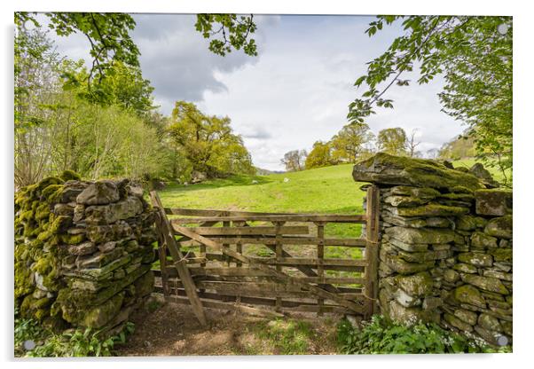Traditional wooden gate between stone walls in the Lake District Acrylic by Jason Wells