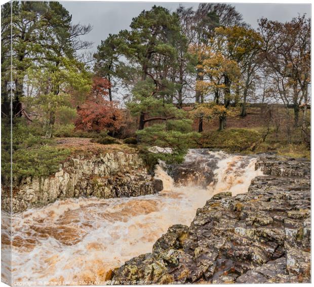 Another Flood at Low Force Waterfall, Teesdale Canvas Print by Richard Laidler