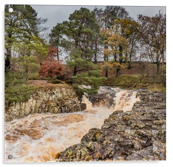 Another Flood at Low Force Waterfall, Teesdale Acrylic by Richard Laidler