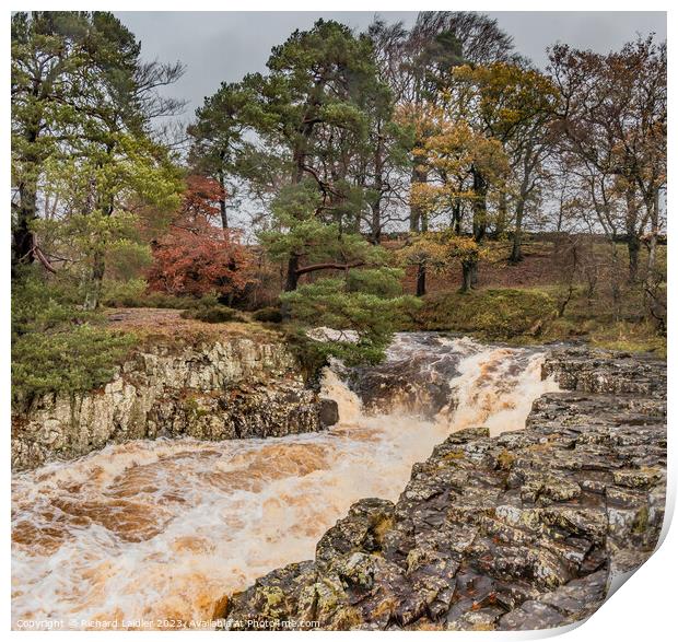 Another Flood at Low Force Waterfall, Teesdale Print by Richard Laidler