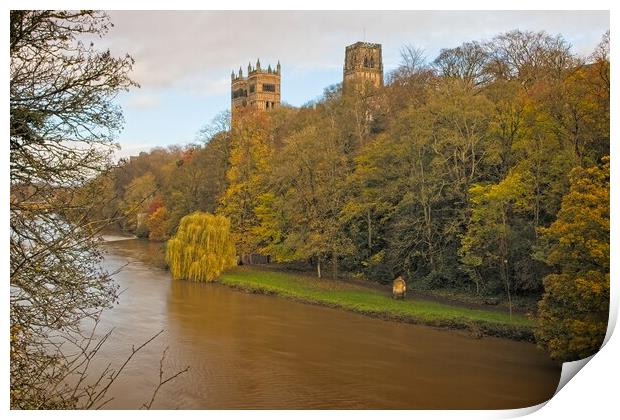 Durham Cathedral in Autumn Print by Rob Cole