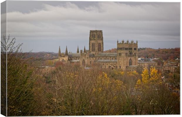 Durham Cathedral in Autumn Canvas Print by Rob Cole