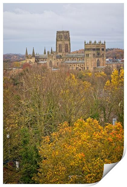 Durham Cathedral in Autumn Print by Rob Cole