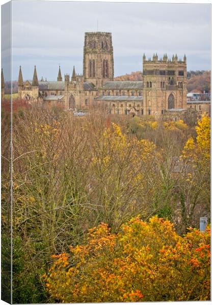 Durham Cathedral in Autumn Canvas Print by Rob Cole