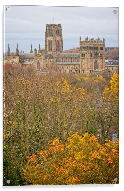 Durham Cathedral in Autumn Acrylic by Rob Cole