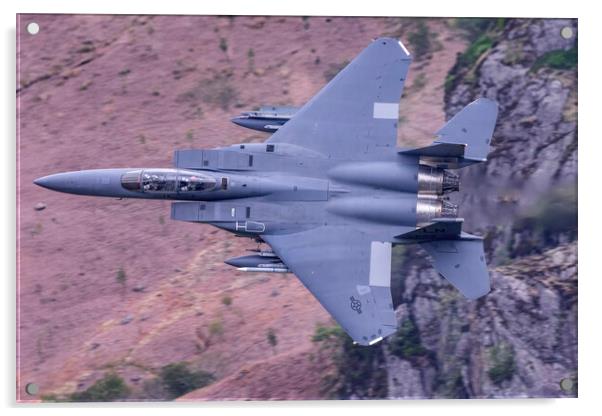 F15E Strike Eagle Low Level English Lake District Acrylic by Derek Beattie