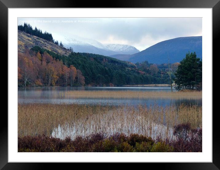 Soft Autumn shades at Loch Pityoulish  Framed Mounted Print by Phil Banks