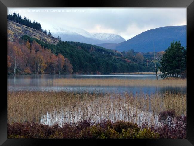 Soft Autumn shades at Loch Pityoulish  Framed Print by Phil Banks