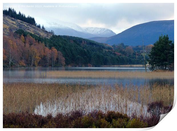 Soft Autumn shades at Loch Pityoulish  Print by Phil Banks