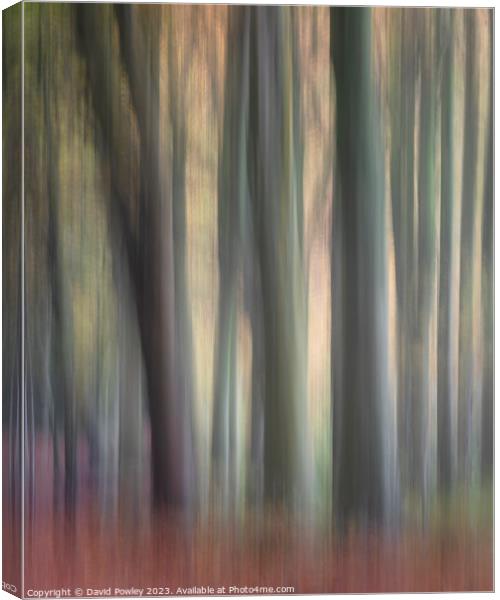 Bacton Woods ICM Canvas Print by David Powley