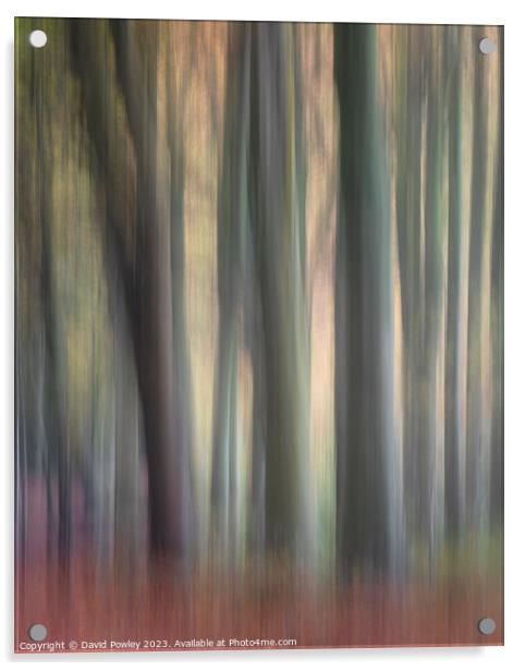 Bacton Woods ICM Acrylic by David Powley