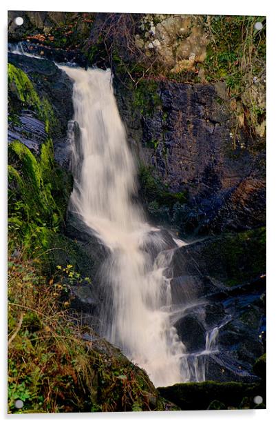 Pecca Force, Ingleton Waterfall Trail Acrylic by Sandi-Cockayne ADPS