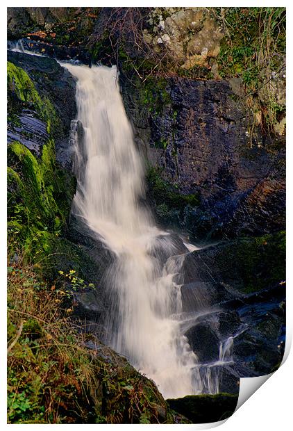 Pecca Force, Ingleton Waterfall Trail Print by Sandi-Cockayne ADPS
