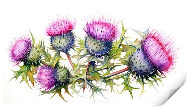 Watercolour Scottish Thistles Print by Steve Smith