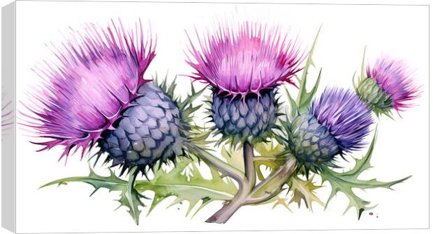 Watercolour Scottish Thistles Canvas Print by Steve Smith