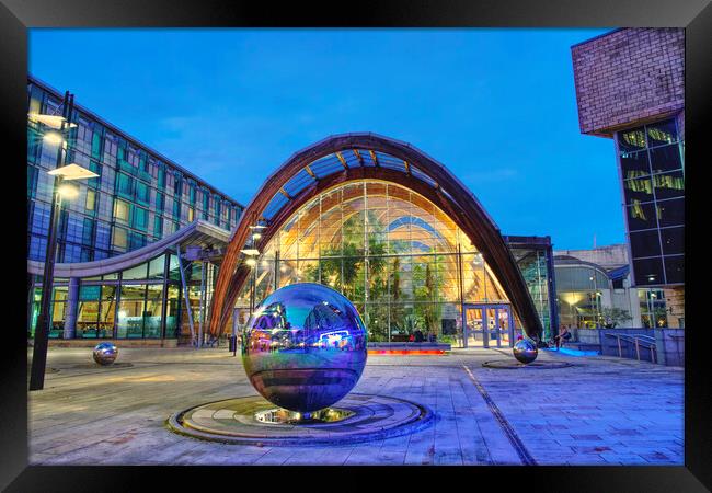 Sheffield Winter Gardens  Framed Print by Alison Chambers