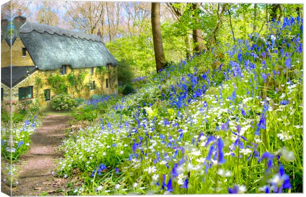 Cottage Bluebell Wood Canvas Print by Alison Chambers