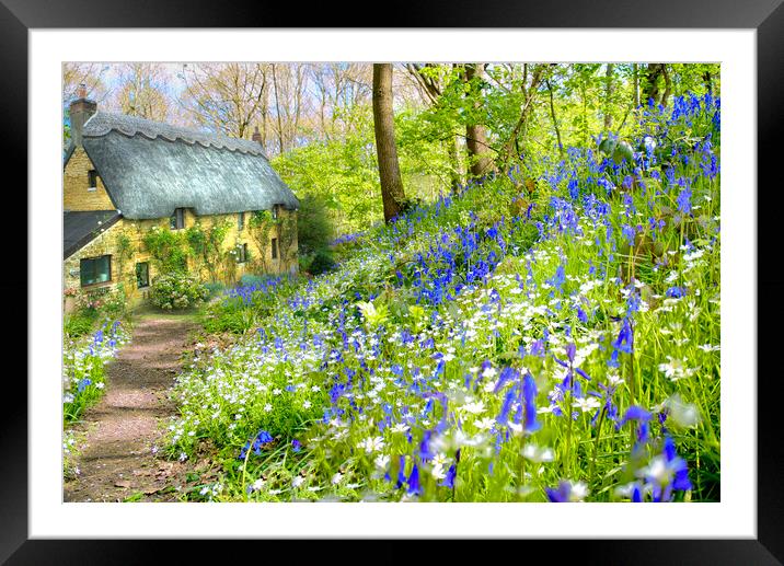 Cottage Bluebell Wood Framed Mounted Print by Alison Chambers